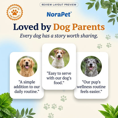 NoraPet™ Ear, Paw & Skin Support Drops
